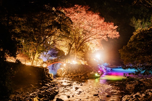 東の滝・夢淵ライトアップ